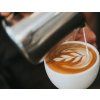 Sage BES875BSS  THE BARISTA EXPRESS™